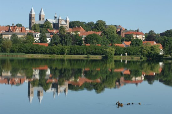 Viborg_sø